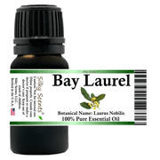 Bay Laurel Essential Oil