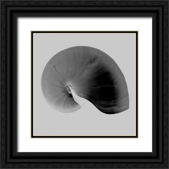 Bay, Noah 12x12 Black Ornate Wood Framed with Double Matting Museum Art Print Titled - Nautilus Twin II