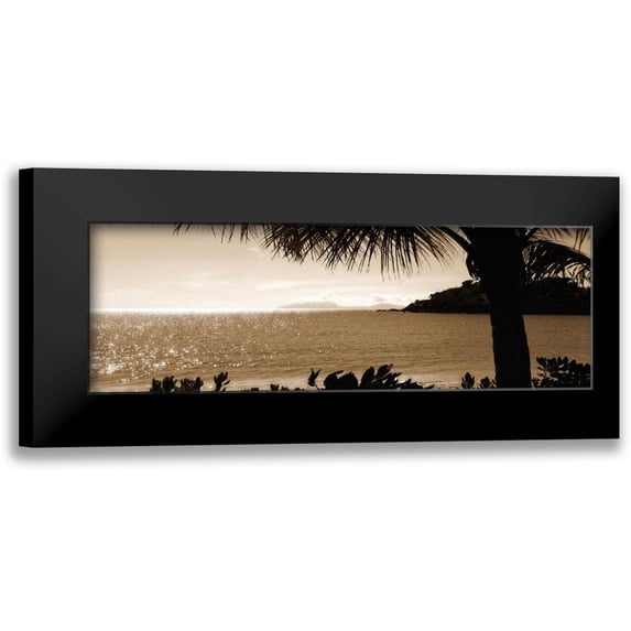 Bay, Noah 14x7 Black Modern Framed Museum Art Print Titled - After the Rains