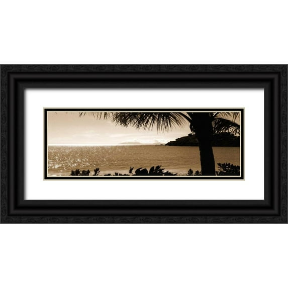 Bay, Noah 18x9 Black Ornate Wood Framed with Double Matting Museum Art Print Titled - After the Rains