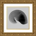 thumbnail image 1 of Bay, Noah 26x26 Gold Ornate Wood Framed with Double Matting Museum Art Print Titled - Nautilus Twin II, 1 of 4