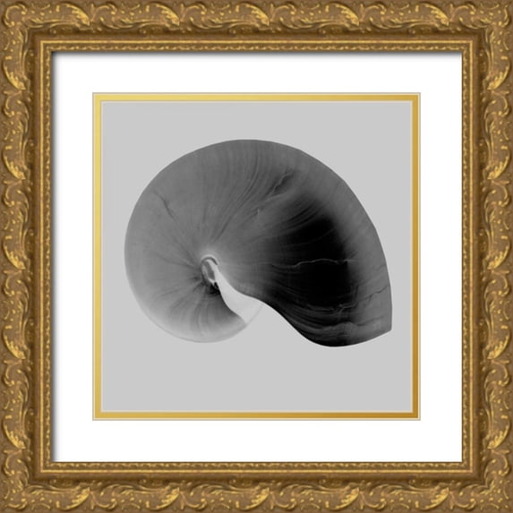 Bay, Noah 26x26 Gold Ornate Wood Framed with Double Matting Museum Art Print Titled - Nautilus Twin II