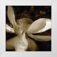 thumbnail image 1 of Bay, Noah 26x26 White Modern Wood Framed Museum Art Print Titled - Bronze Lily VI, 1 of 4