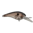 thumbnail image 1 of Bay Rat Lures, Battle MD, Bronze Shad, 1 of 1