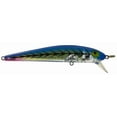 thumbnail image 1 of Bay Rat Lures, Short Shallow, Blue Tiger, 1 of 1