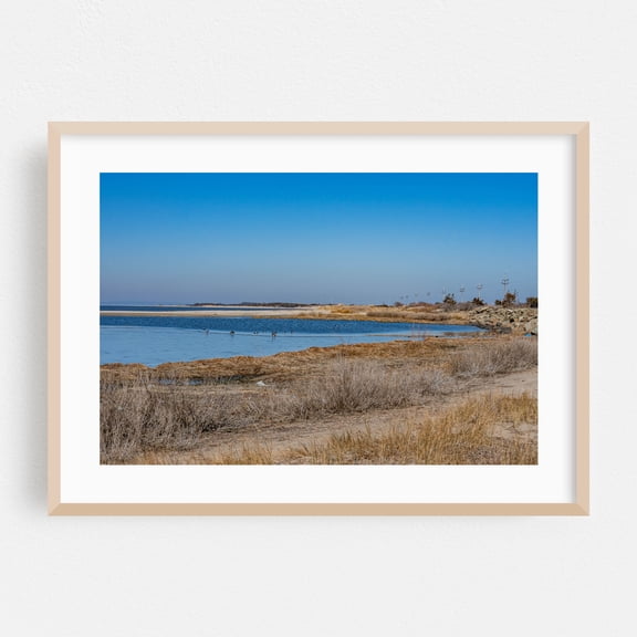 The Bay Side on a Winter Day - Middletown Township New Jersey Photography Coastal Nature Scenic Beach Landscape Seascape Wildlife Oak Framed Wall Art Print 5 x 7 inches