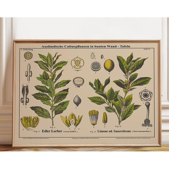 Bay Tree Lemon Tree Landscape Wall Art Print, Unframed Paper Poster 24x36in