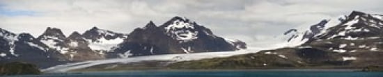 Bay in front of snow covered mountains Grace Glacier Salisbury Plain Bay of Isles South Georgia Island Canvas Art - Panoramic Images (38 x 8)