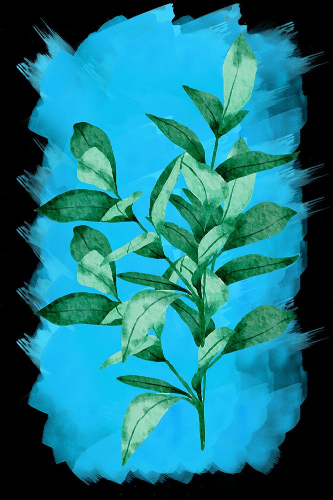Bay leaf plant Poster Print Aal Hussein Abdel (15 x 24)