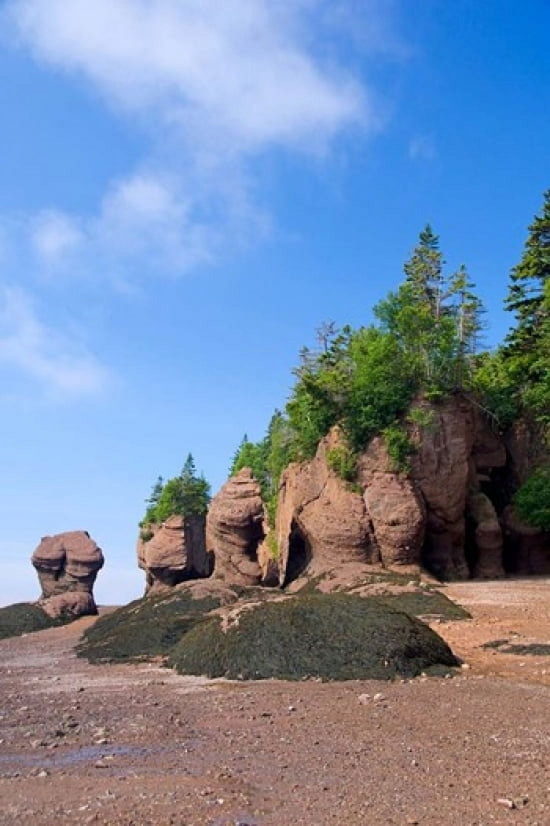 Bay of Fundy Hopewell Rocks Canvas Art - Cindy Miller Hopkins DanitaDelimont (24 x 36)