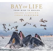 Bay of Life From Wind to Whales, Hardcover