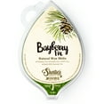thumbnail image 1 of Bayberry Fir Soy Wax Melts - All Natural + Essential Oils + Phthalate Free - Shortie's Candle Company, 1 of 8