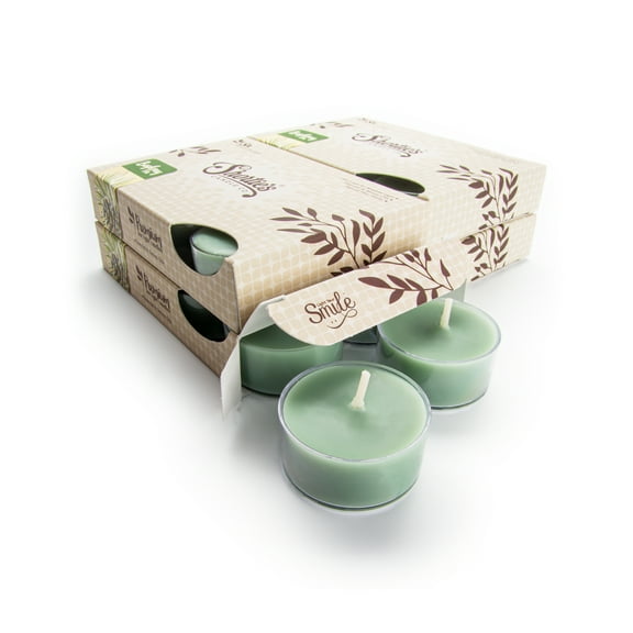 Bayberry Fir Tealight Candles Bulk Pack - 24 Green Premium Scented Tea Lights - Natural Oils - Shortie's Candle Company