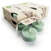 Bayberry Fir Tealight Candles Bulk Pack - 24 Green Premium Scented Tea Lights - Natural Oils - Shortie's Candle Company