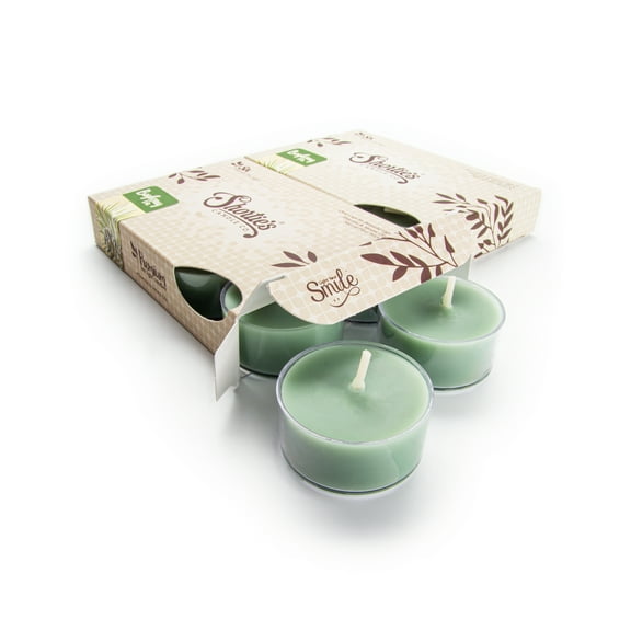 Bayberry Fir Tealight Candles Multi Pack - 12 Green Premium Scented Tea Lights - Natural Oils - Shortie's Candle Company