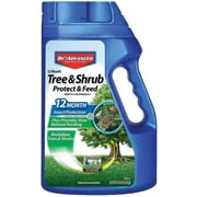 BIOADVANCED Bayer Advanced 701700 12 Month Tree and Shrub Protect and Feed Granules, 4-Pound