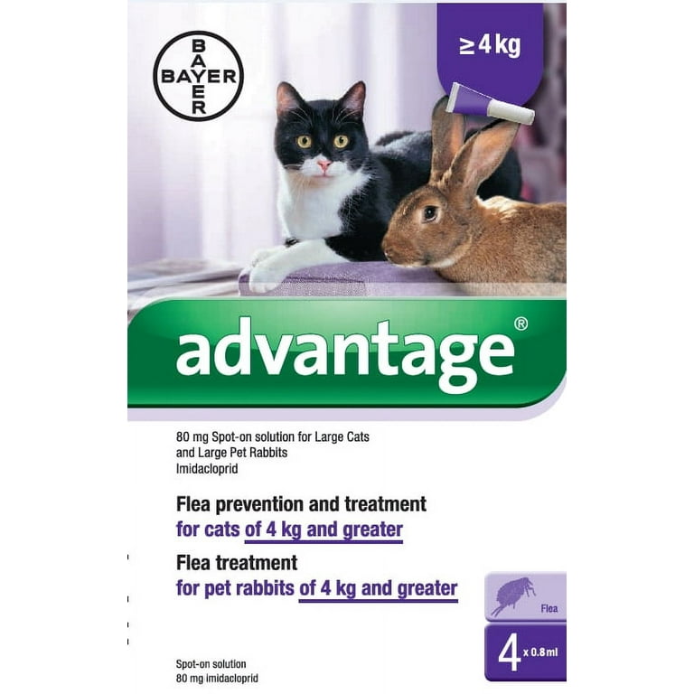 Flea and tick treatment for rabbits shop