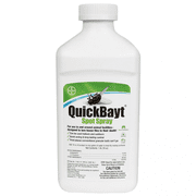 Bayer Animal Health D-Quickbayt Spot Fly Bait Spray 16 Ounce