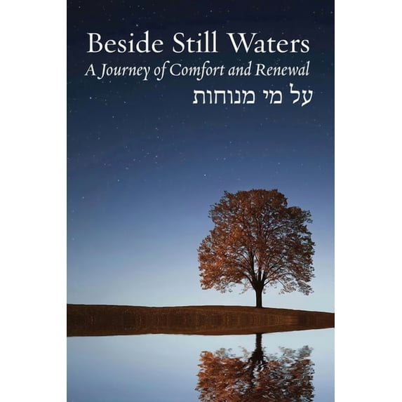 Bayit: Building Jewish: Beside Still Waters: A Journey of Comfort and Renewal (Paperback)