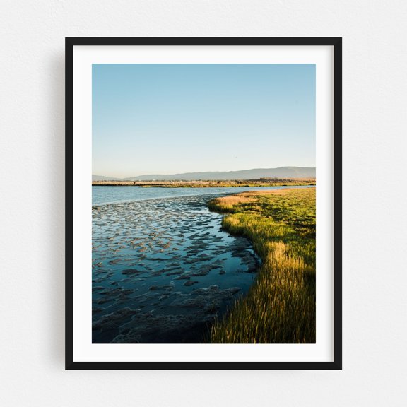 Baylands Nature Preserve, Palo Alto 05 - Palo Alto California Photography Black Framed Wall Art Print 16 x 20 inches