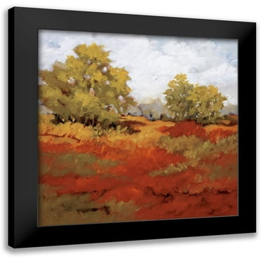 Baynes, Maija 12x12 Black Modern Framed Museum Art Print Titled - Scarlet Fields I