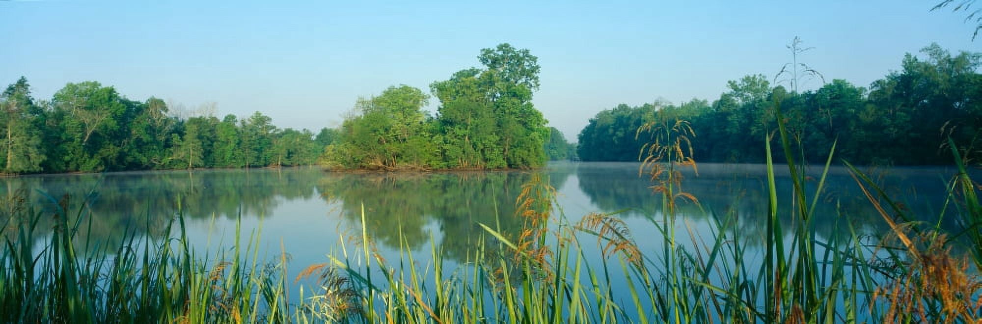 Bayous in wildlife refuge of Lake Fausse Pointe State Park Louisiana Canvas Art - Panoramic Images (27 x 9)