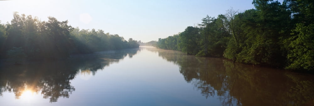 Bayous in wildlife refuge of Lake Fausse Pointe State Park Louisiana Canvas Art - Panoramic Images (27 x 9)