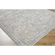 BoutiqueRugs Bayram Traditional Area Rug - Gray, Ivory, Medium Gray - 67 x 9