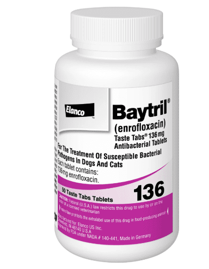 Baytril (Enrofloxacin) Flavored Chewable Taste Tabs for Dogs & Cats, 68mg