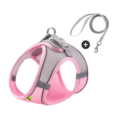 Baywell Reflective and Breathable Vest for Small Pets Does not Stick to Hair Strong and Firm Easy to Wear Comes with Leash