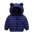 thumbnail image 1 of Baywell Toddler Boys Girls Fall Winter Hoodie Coats Light Fluffy Down Cotton Jacket Windproof Waterproof Zipper Hooded Warm Outerwear 6M-4Y, 1 of 1
