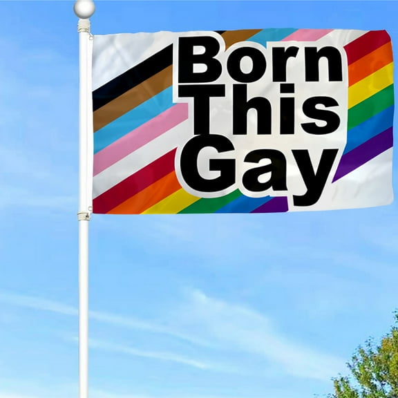 Bayyon Born This Gay Pride Flag Banner with Grommets 3x5Feet Man cave Decor