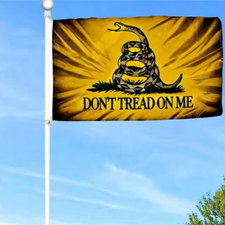 Bandiera Gadsden Non Calpestarmi 90x60cm - Poliestere, Occhielli Metallici, AZ FLAG - Foto 12