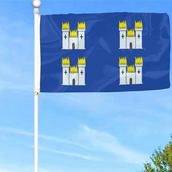 Bayyon Dublin Coat of Arms Flag Banner with Grommets 3x5Feet Man cave Decor