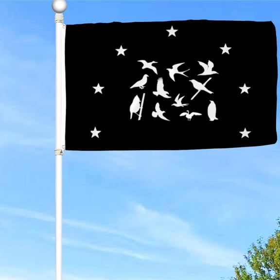 Bayyon Flying Birds and Stars Flag Banner with Grommets 3x5Feet Man cave Decor