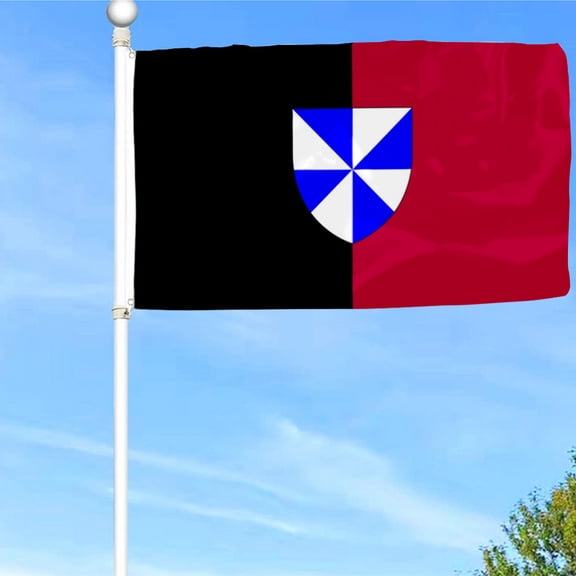 Bayyon Shield with Blue and White Triangles Flag Banner with Grommets 3x5Feet Man cave Decor