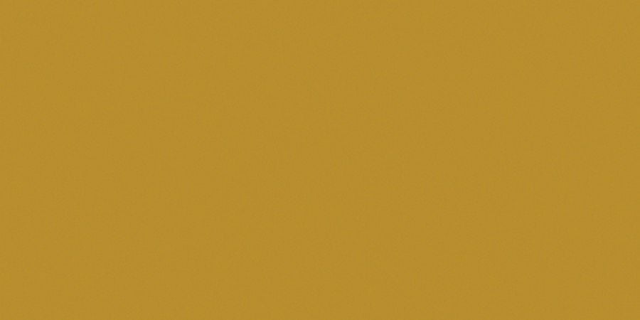 Bazzill Card Shoppe Heavyweight Cardstock 12"X12"-Gold Coins