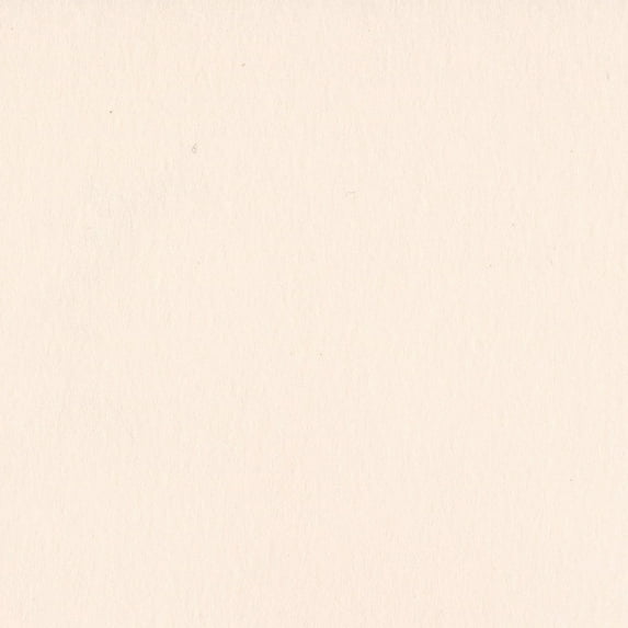 Bazzill Card Shoppe Heavyweight Cardstock 12"X12"-Pale Rose
