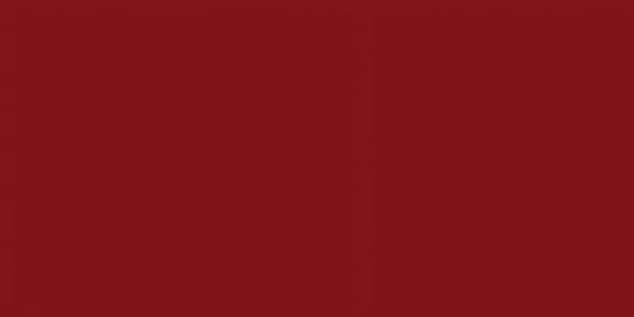 Bazzill Card Shoppe Heavyweight Cardstock 12"X12"-Peppermint