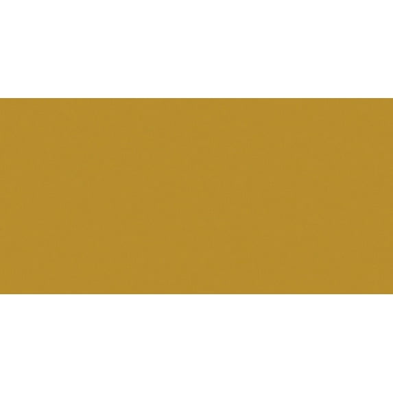Bazzill Card Shoppe Heavyweight Cardstock 8.5"X11"-Gold Coins