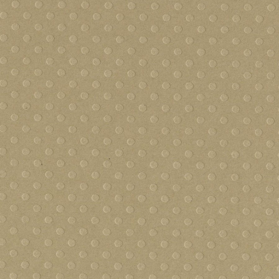 Bazzill Dotted Swiss Cardstock 12"X12"-Rope Swing/Dotted Swiss