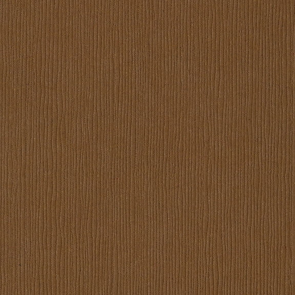 Bazzill Fourz Cardstock 12"X12"-Cinnamon Stick/Grasscloth