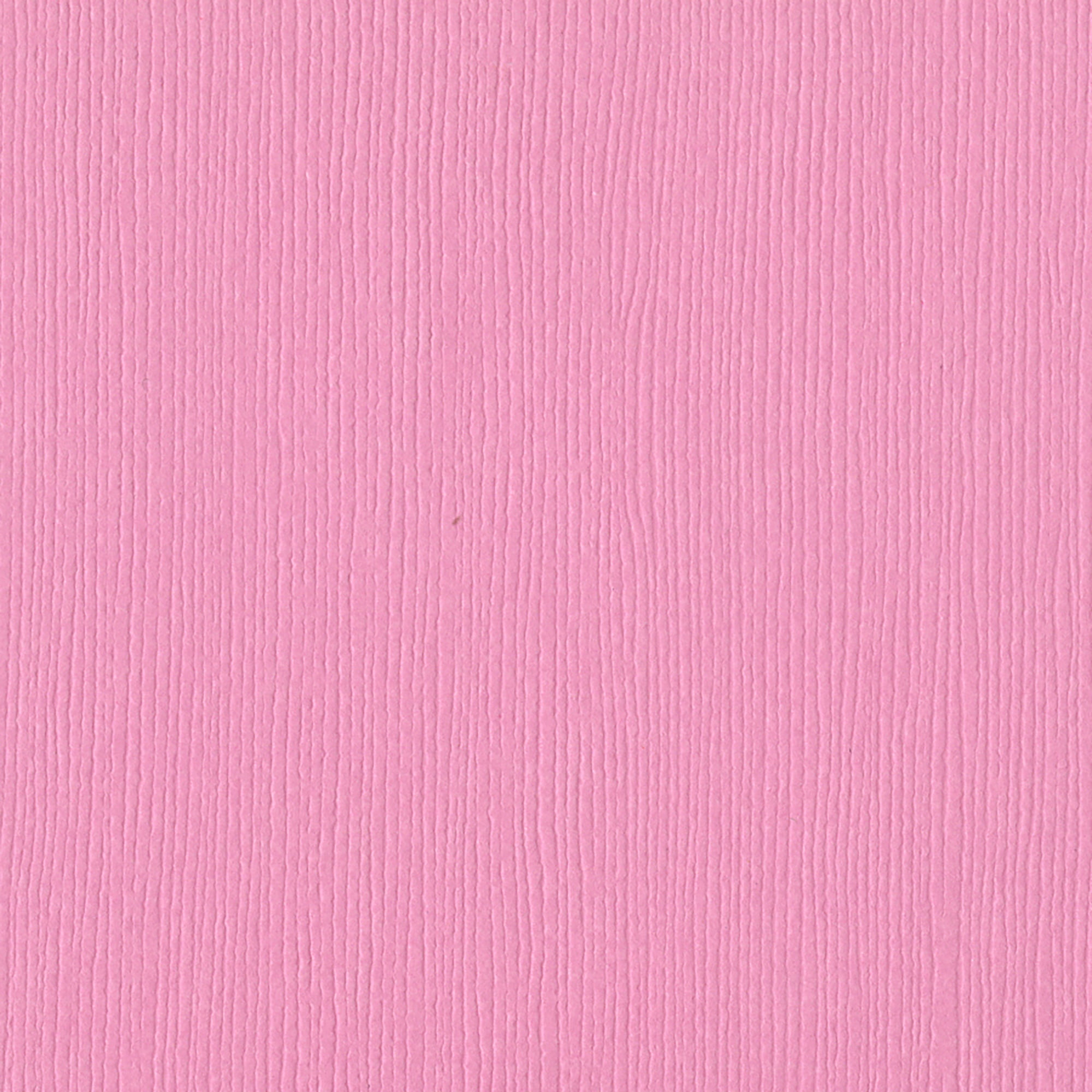 Bazzill Fourz Cardstock 12"X12"-Fussy/Grasscloth