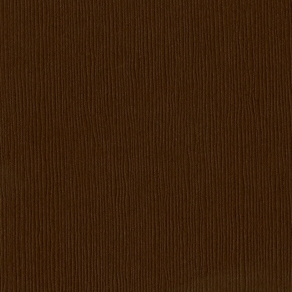 Bazzill Fourz Cardstock 12"X12"-Mocha Divine/Grasscloth
