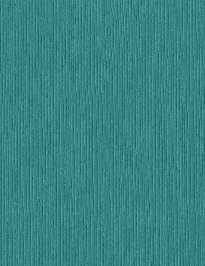 Bazzill Fourz Cardstock 8.5"X11"-Aquatic/Grasscloth