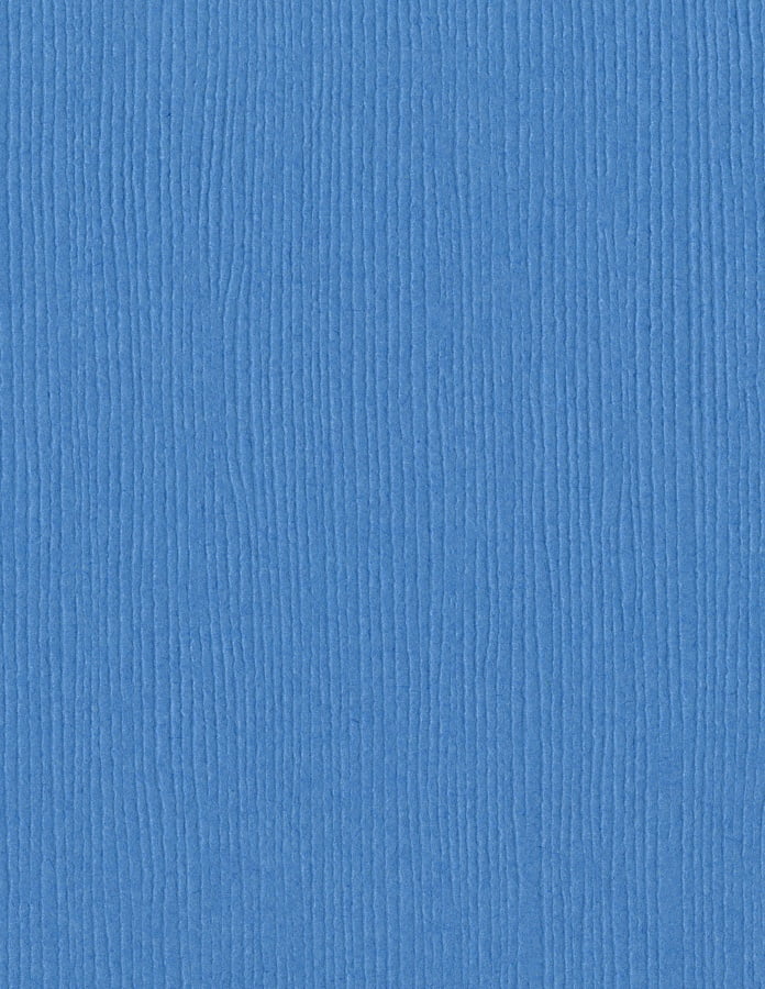 Bazzill Fourz Cardstock 8.5"X11"-Evening Surf/Grasscloth