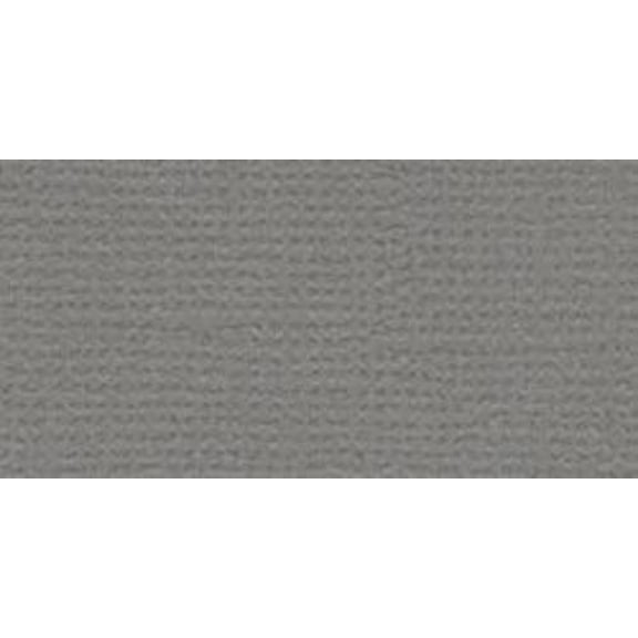 Bazzill Mono Cardstock 12"X12"-Cinder/Canvas
