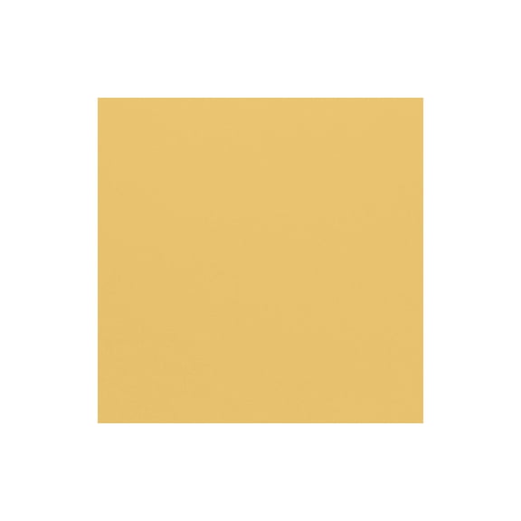 Bazzill Mono Cardstock 12"X12"-Sunbeam/Canvas