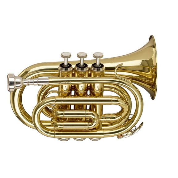 Stagg Bb Brass Pocket Trumpet w/ Gig Bag - WS-TR245S