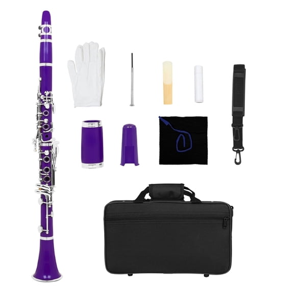 Bb Tone Clarinet for Beginners, 17 Keys Beginner Practice Plastic Clarinet Woodwind Band Orchestra Musical Instrument